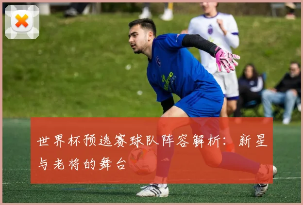 世界杯预选赛球队阵容解析：新星与老将的舞台