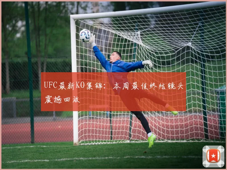 UFC最新KO集锦:本周最佳终结镜头震撼回放
