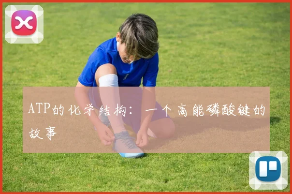 ATP的化学结构:一个高能磷酸键的故事