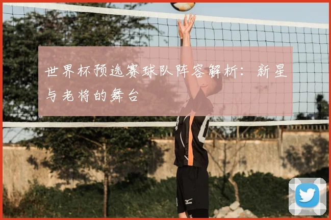 世界杯预选赛球队阵容解析：新星与老将的舞台