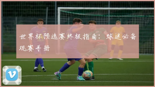 世界杯预选赛终极指南：球迷必备观赛手册