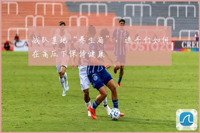 战队基地“养生局”,选手们如何在高压下保持健康