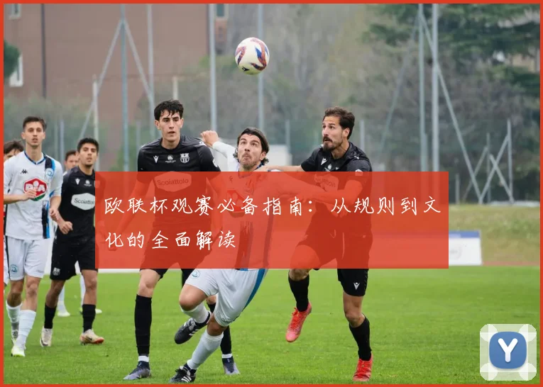 欧联杯观赛必备指南:从规则到文化的全面解读