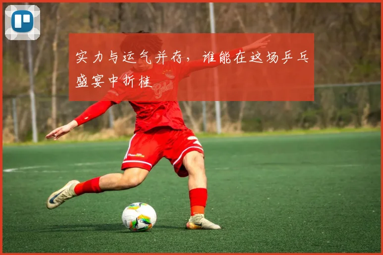 实力与运气并存,谁能在这场乒乓盛宴中折桂