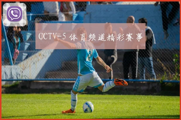 CCTV-5 体育频道精彩赛事